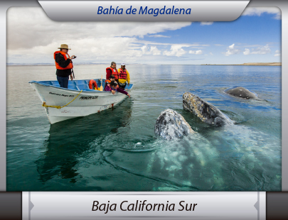 Fletes de la Ciudad de México a Baja California Sur