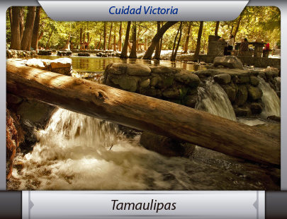 Fletes de la Ciudad de México a Tamaulipas
